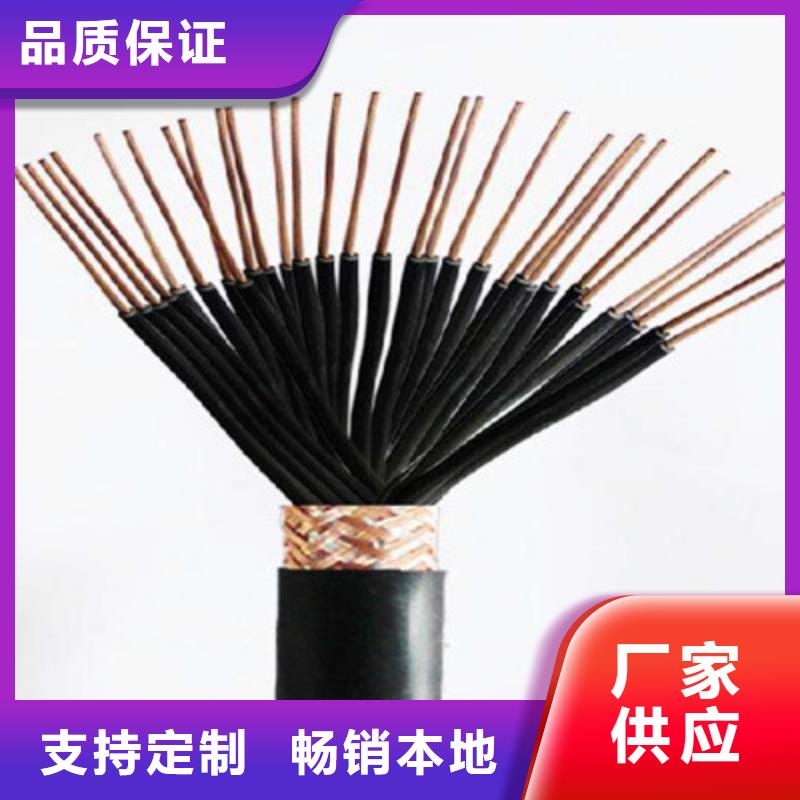 屏蔽控制电缆HVVP实地厂家