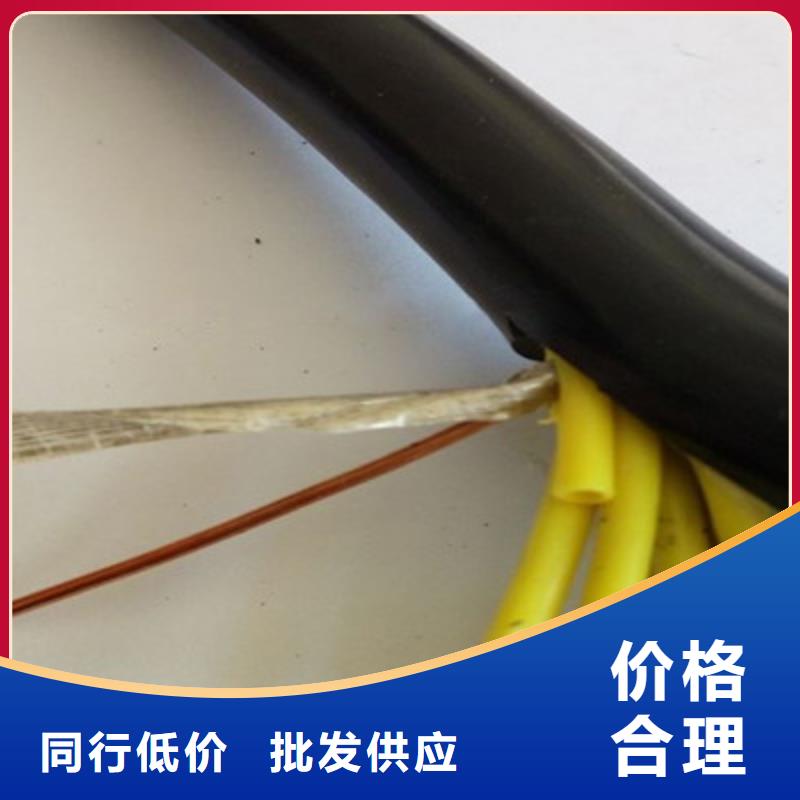 控制电缆铁路信号电缆厂家精选
