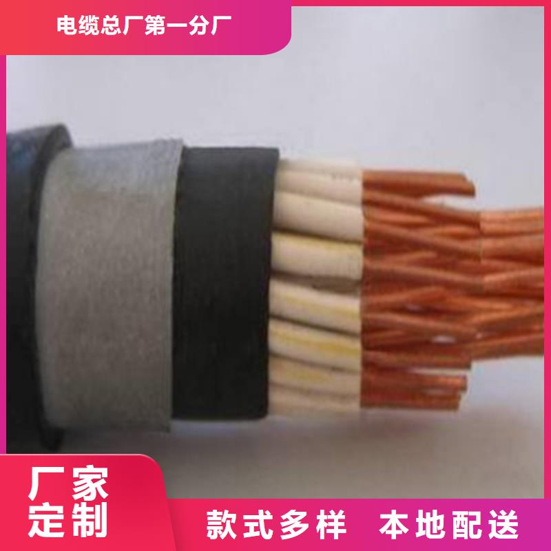 天联牌控制电缆RVVT厂家-价格低