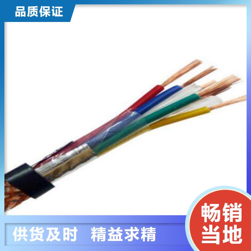 销售60227IEC53RVV行车控制电缆公司