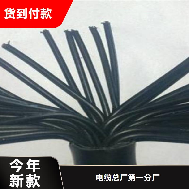 供应ZR-KVVP32阻燃铠装屏蔽控制电缆_诚信企业