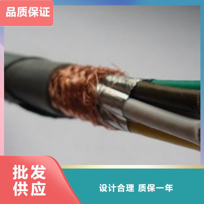 天联牌控制电缆RVVT厂家-价格低