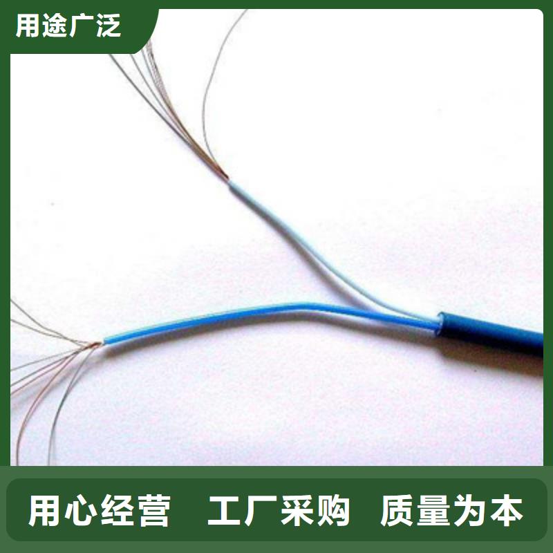 传感器电缆AVVR30X2X7/0.37询问报价