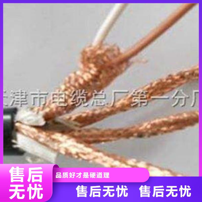 DJFP3FP3耐高温计算机线缆10X2X1.5