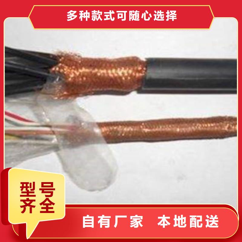 耐高温线缆DJFP2FP2现货供应