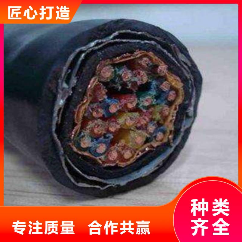 计算机电缆DJFP3FRP3出厂价格