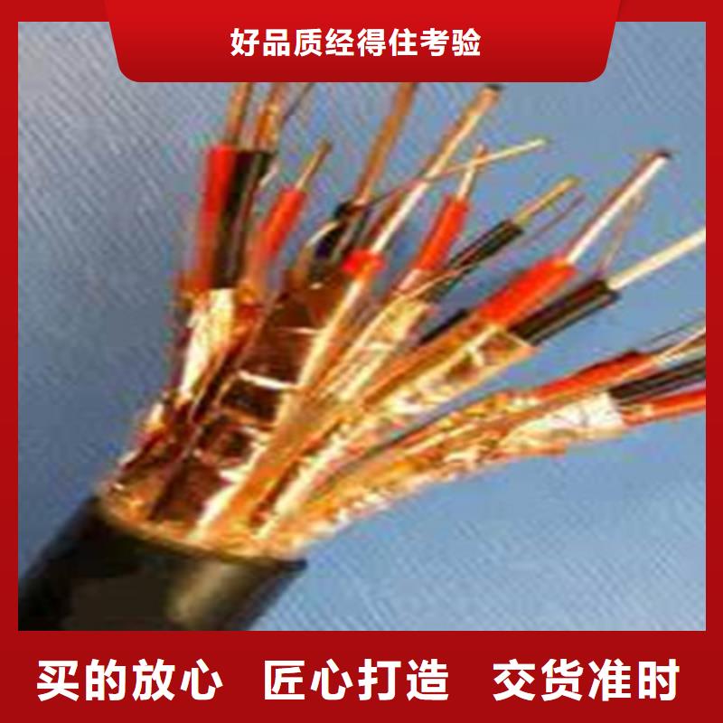 DJFVP2耐高温计算机电缆来图定制