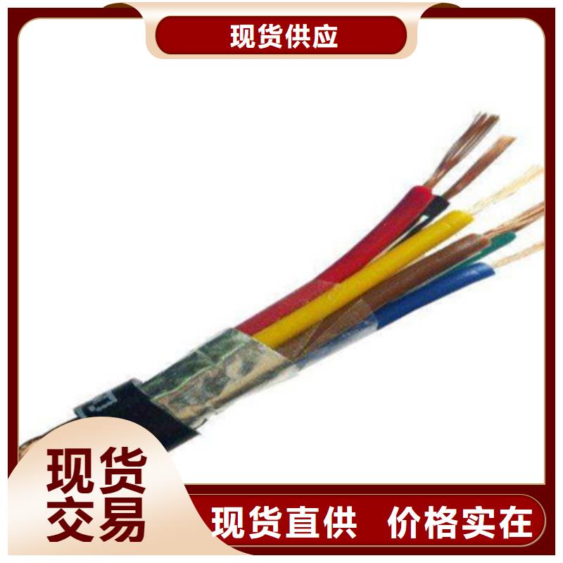 耐高温计算机电缆DJFPGP放心选择