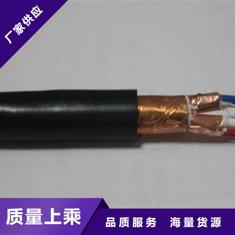 耐高温线DJFFP终身质保