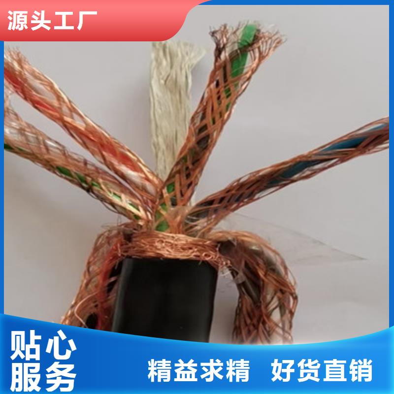 KFP2F22铠装耐高温电缆学校