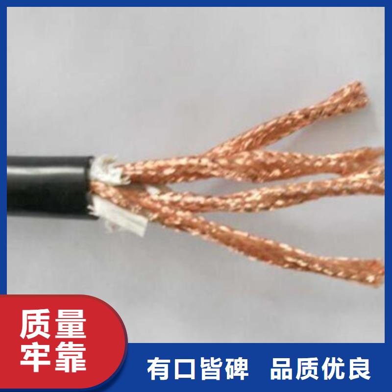 DJFVP2耐高温计算机电缆来图定制