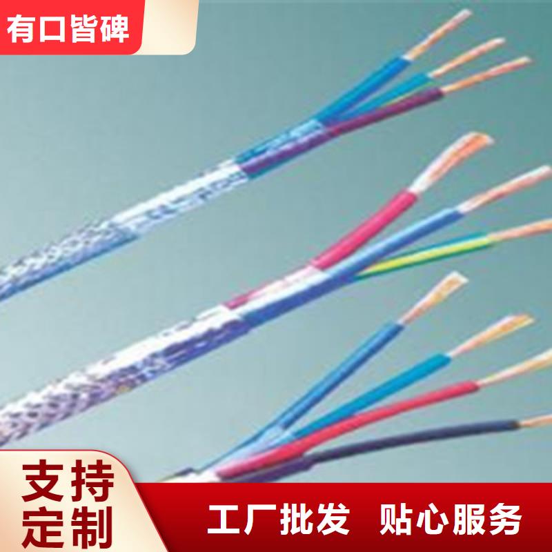 耐高温计算机电缆DJFPF实力厂家
