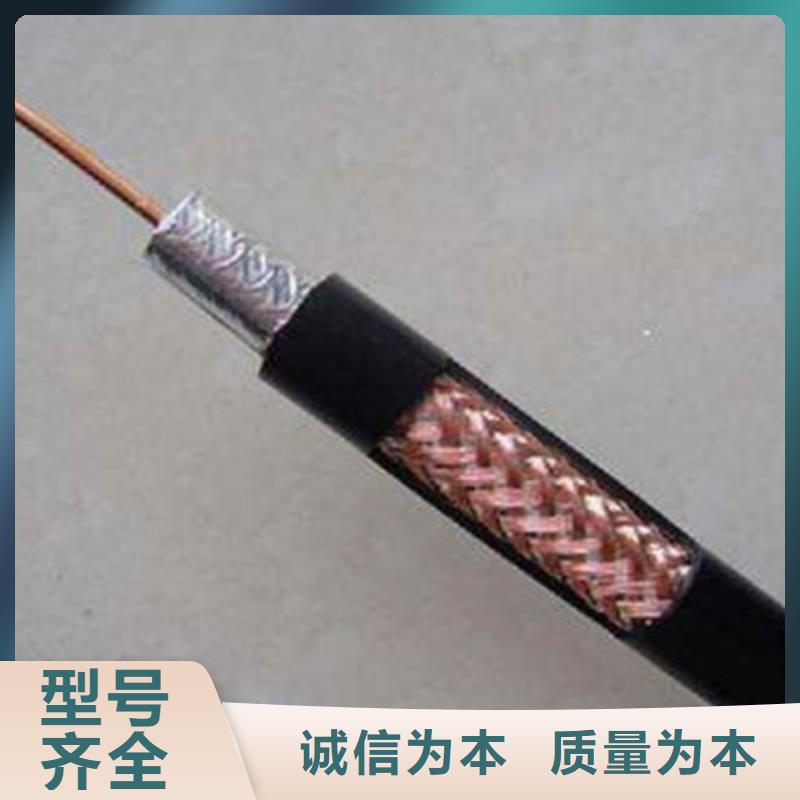 SYV影音器材连接电线库存充足
