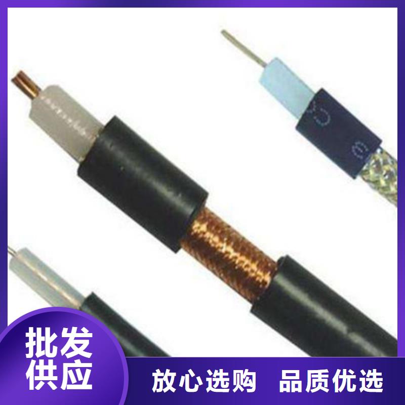 SYV射频线实力老厂