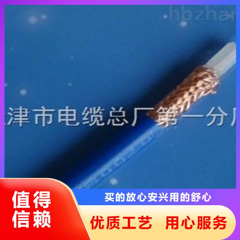 视频线SYV种类齐全
