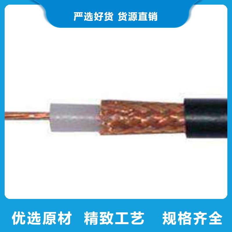 视频线SYV种类齐全