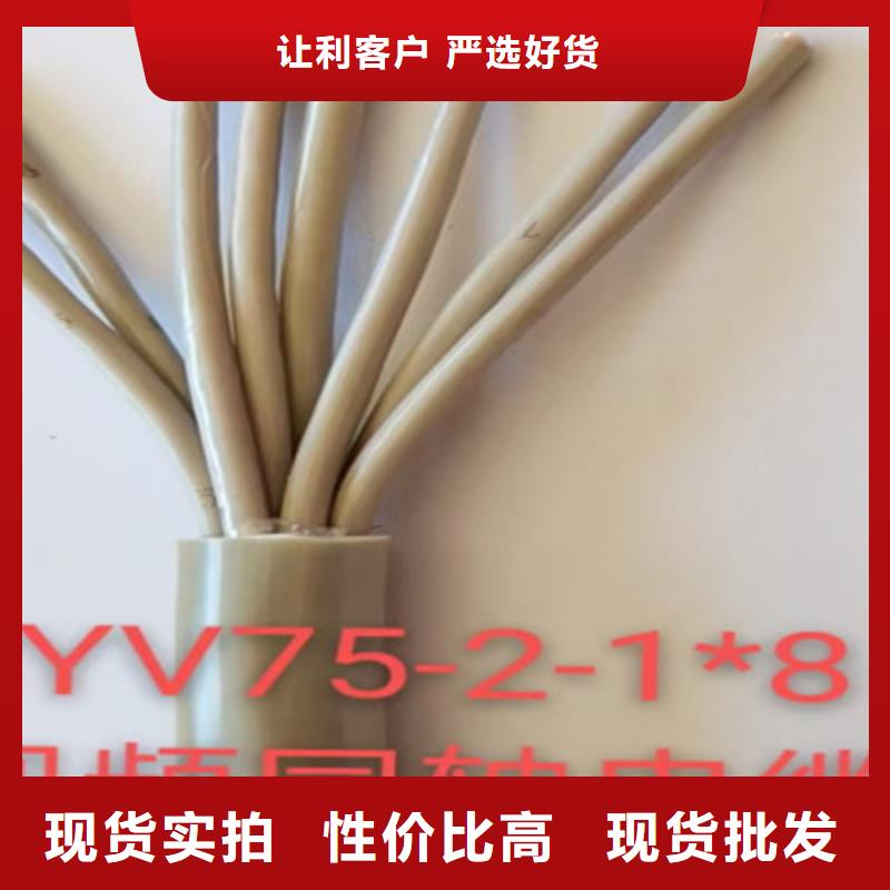 射频同轴电缆铁路信号电缆现货交易