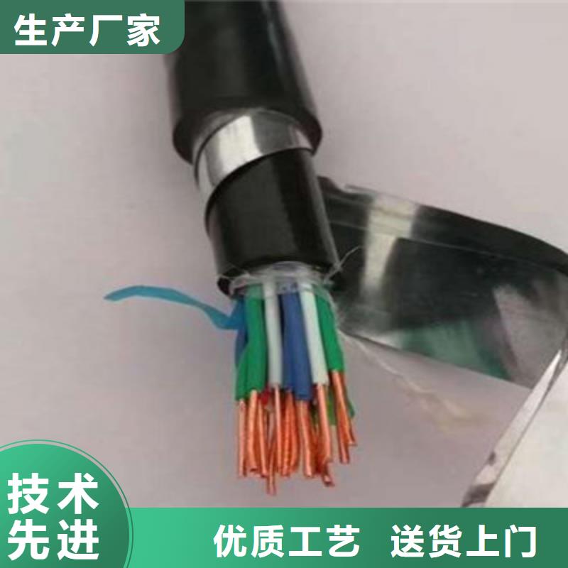可定制的定安县PZYA22铁路信号电缆实体厂家
