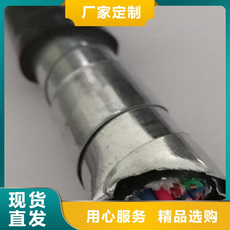 WDZ-PVV20铁路信号线缆33X1