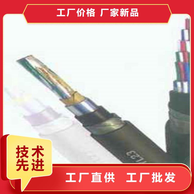 可定制的定安县PZYA22铁路信号电缆实体厂家