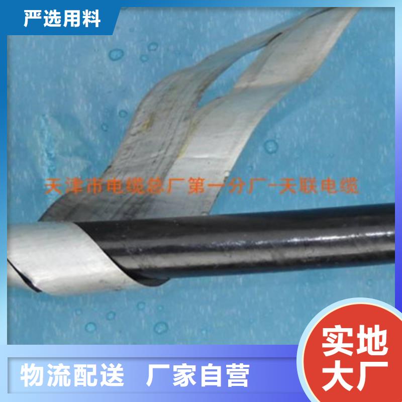 2025质优价廉#42芯信号电缆铁路制造商#来图定制