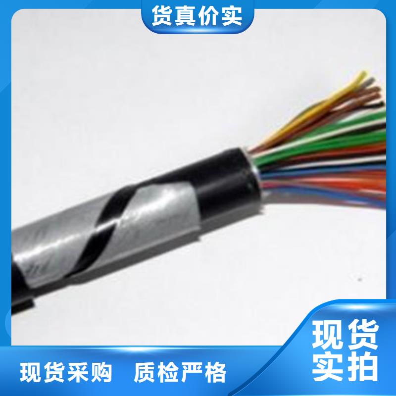 PZYA23铠装铁路电缆品质保证