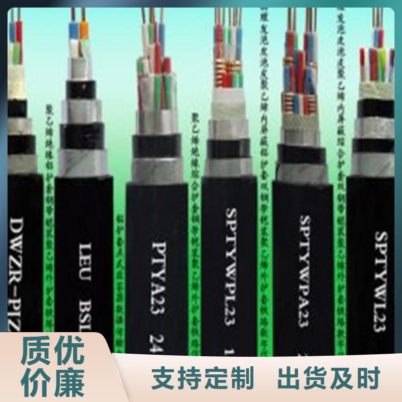 注重24芯铁路电缆质量的厂家