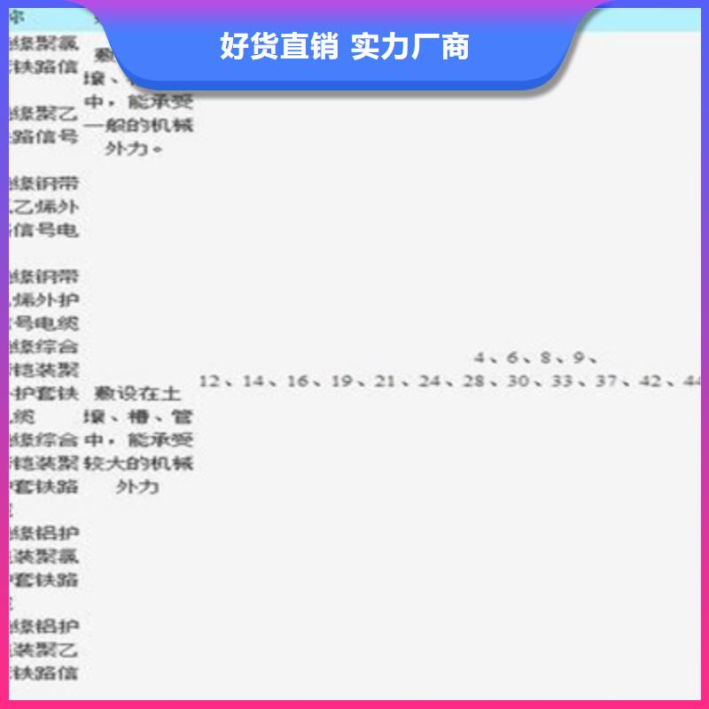 【铁路信号电缆本安防爆电缆实体诚信厂家】