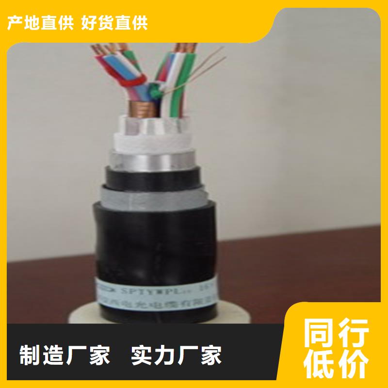 铁路专用PZYVH信号电缆14芯