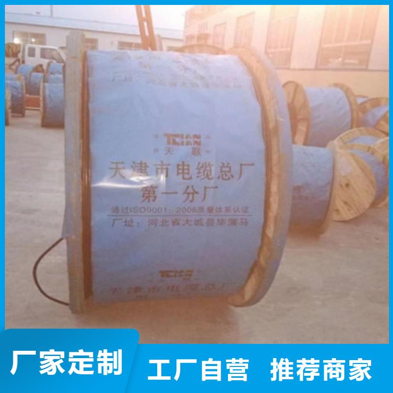 WDZ-PYVV22铁路专用电缆4芯