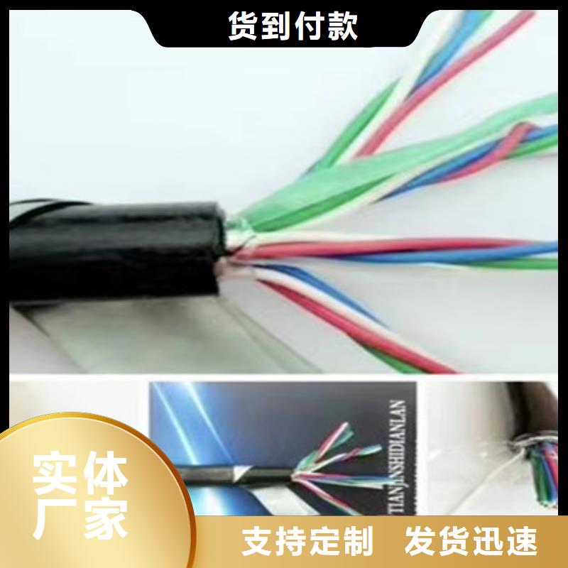 WDZ-PVV20铁路信号线缆33X1