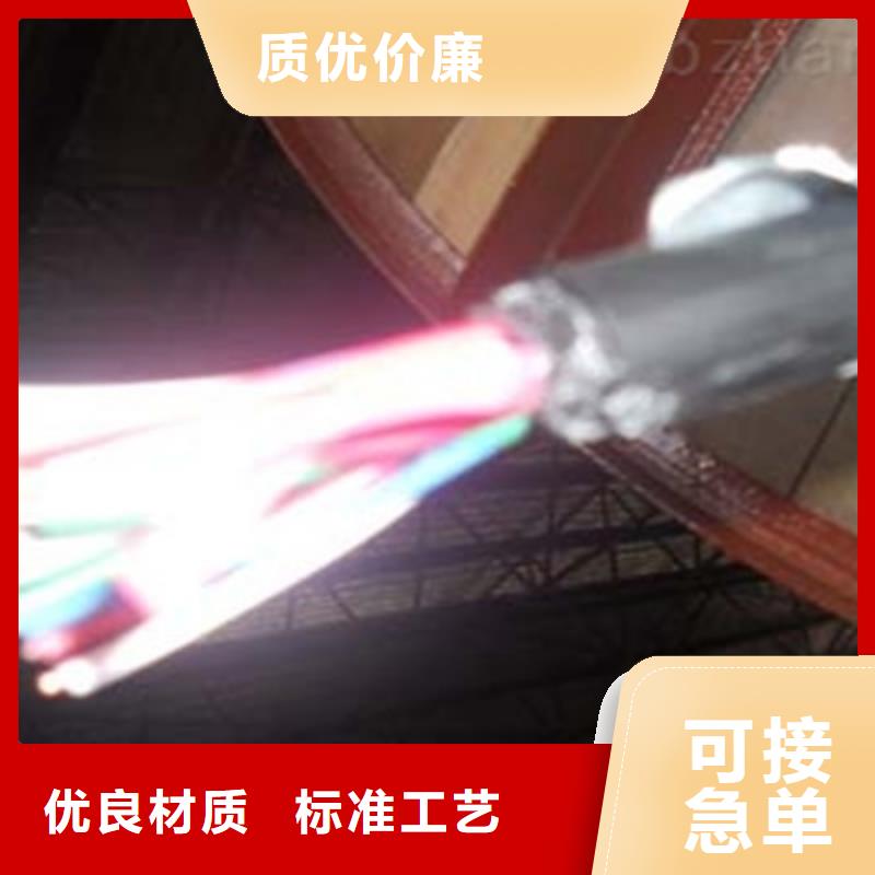 30芯信号电缆21芯