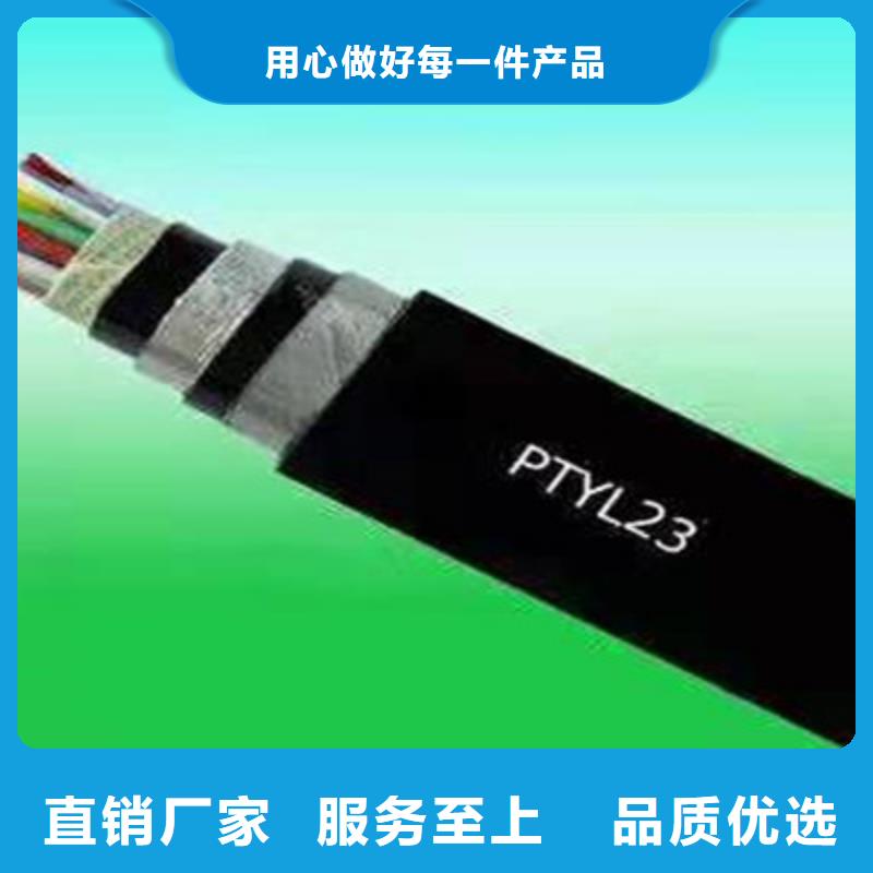 生产PTYA铁路信号电缆的厂家