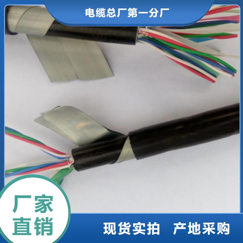 WDZ-PVV20铁路信号线缆