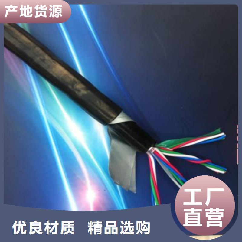 生产PTYA铁路信号电缆的厂家