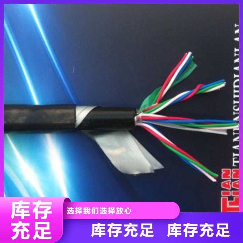 PTY23铠装铁路信号电缆21芯