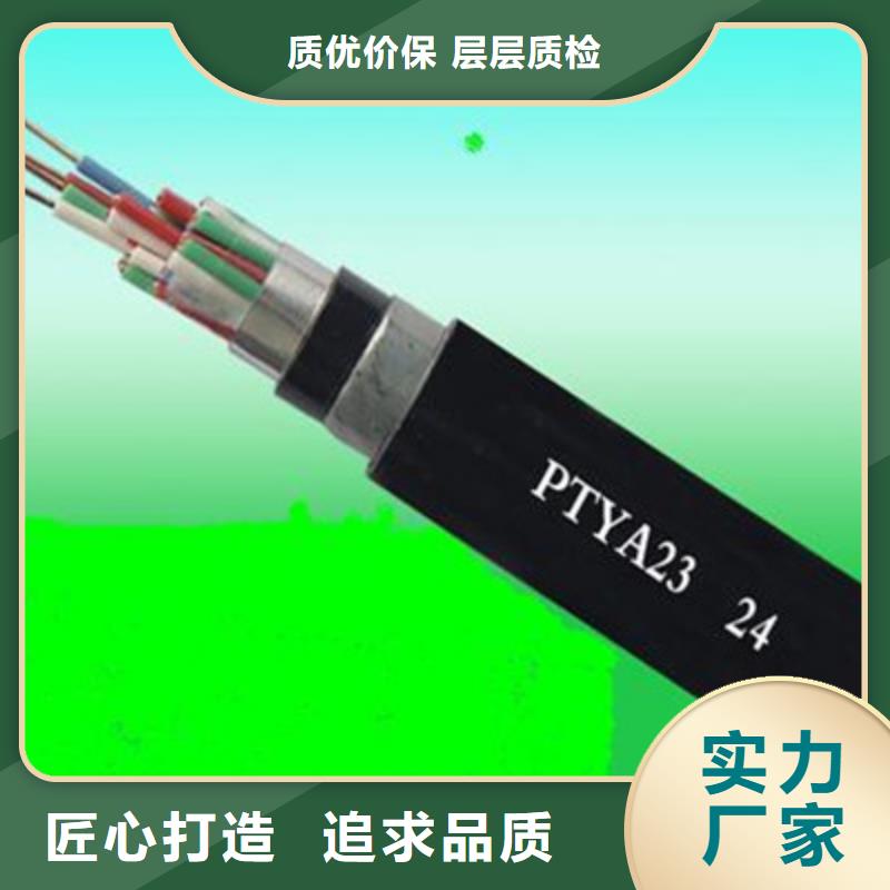 铁路专用PZYVH信号电缆14芯