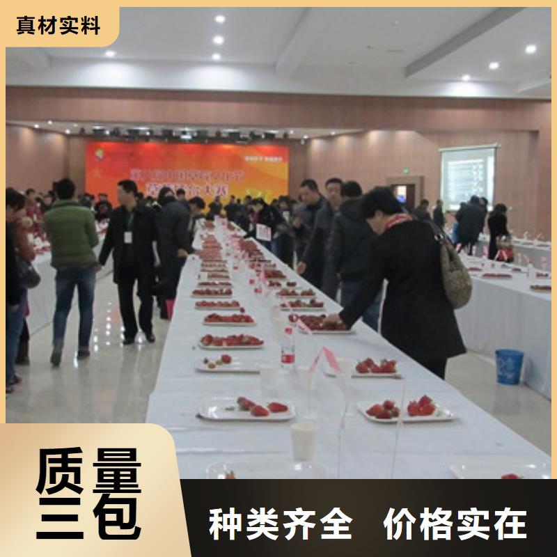 妙香7号草莓苗种苗