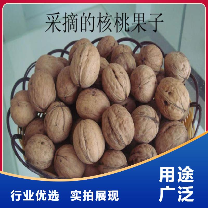红皮核桃苗多少钱一棵