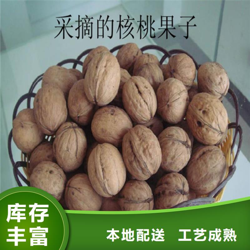【核桃苗】_桃树苗不断创新