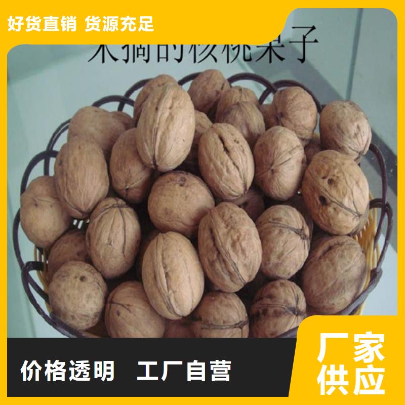 核桃苗【桃树苗】品质不将就