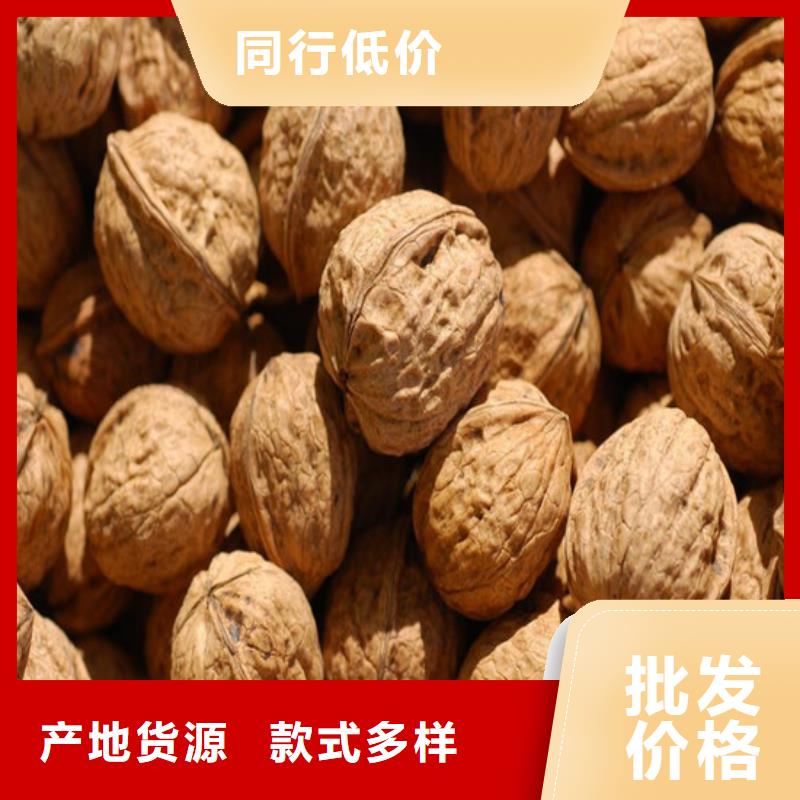 核桃苗苹果苗好货采购
