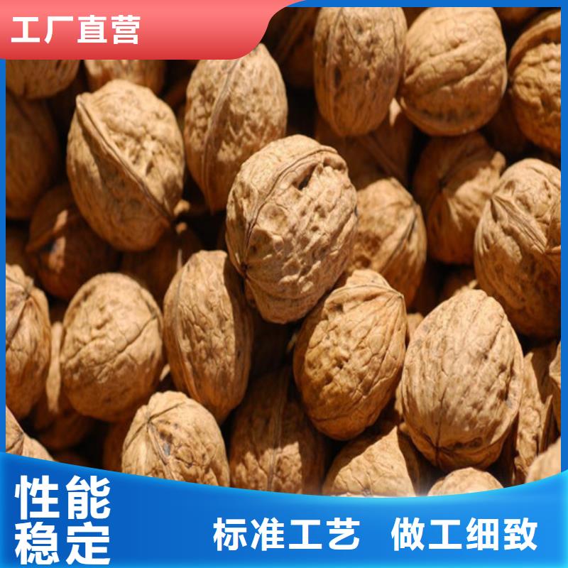 核桃苗_草莓苗价格自产自销