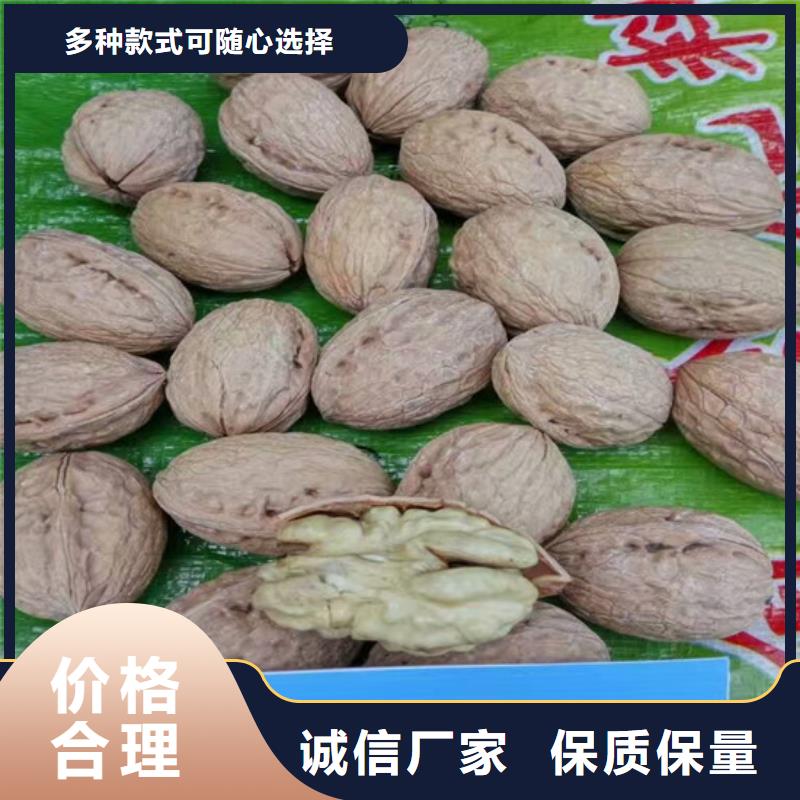 核桃苗_果树苗款式新颖