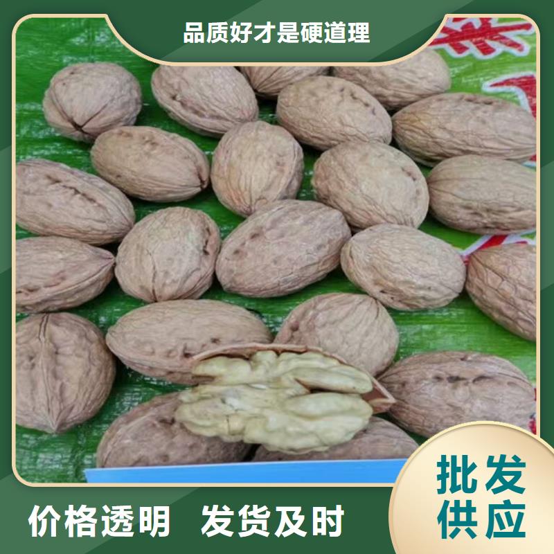 核桃苗【桃树苗】品质不将就