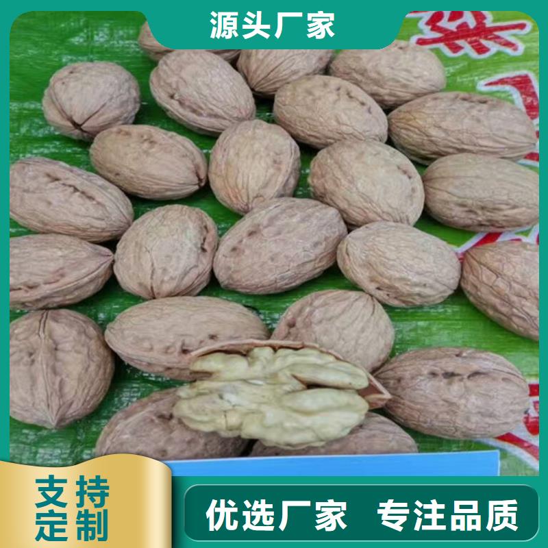 核桃苗葡萄苗基地厂家精选