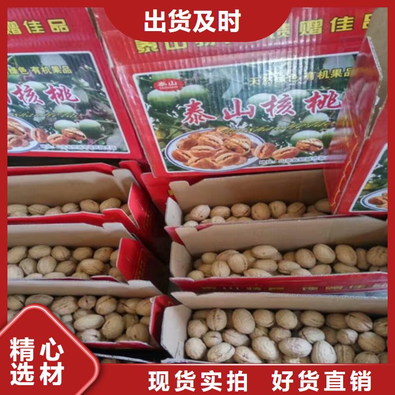 【核桃苗桃树苗工厂批发】