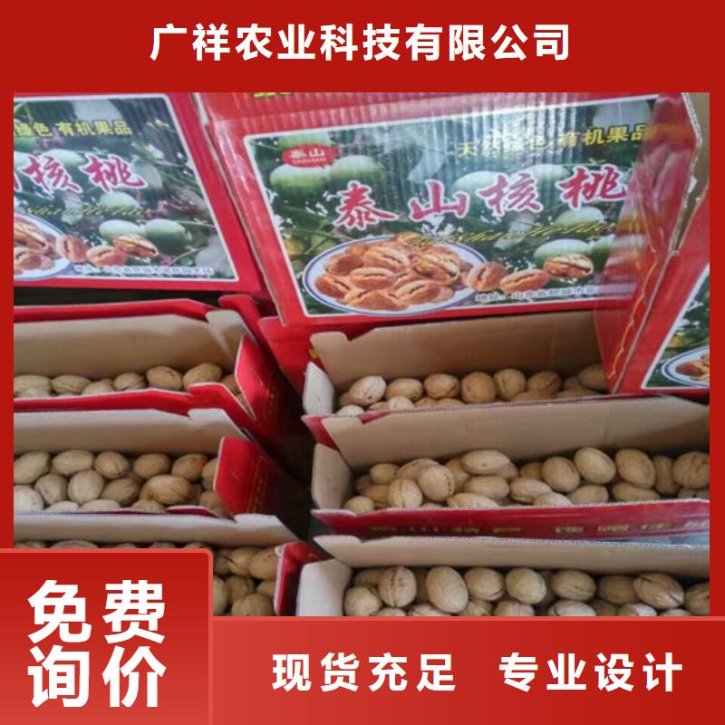 核桃苗樱桃苗基地工程施工案例