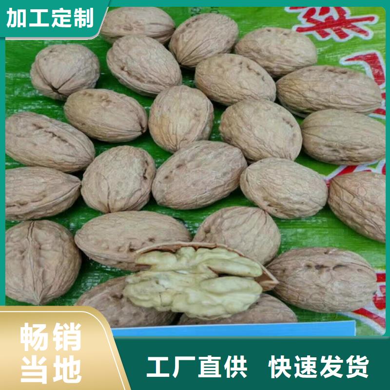 核桃苗黄金苹果树苗质检合格发货