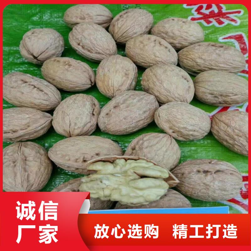 【核桃苗苹果苗快速生产】